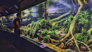 MONSTER Planted Aquascape in German Zoo  Full Tour [upl. by Annehsat768]