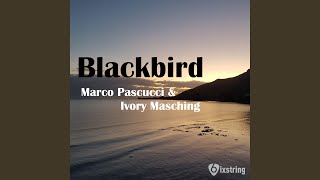 Blackbird feat Ivory Masching [upl. by Adias]