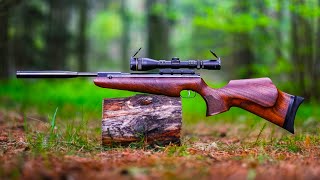 Top 10 Most Powerful Break Barrels Air Rifles [upl. by Ameline]