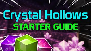 Crystal Hollows Starter Guide The Important Stuff  Hypixel Skyblock [upl. by Atinaj]