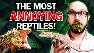 The WORST Kind of Reptiles [upl. by Eneloj]