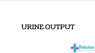 Urine output anuria polyuria and oligouria [upl. by Ynattirb]