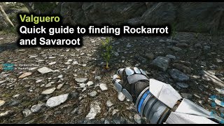 Ark  Valguero  Quick guide to finding rockarrot and savaroot [upl. by Llertac]