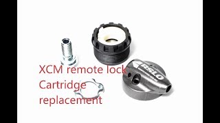 Suntour XCM Fork repair Cartridge replacement [upl. by Dviad]