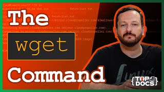 The wget Command  How to Download Files From a Server [upl. by Dorice23]