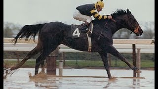 Seattle Slew  Full Documentary [upl. by Eelik709]