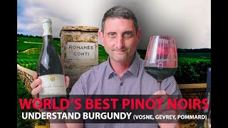 Finest Burgundy Wines  Your Guide to Top Pinot Noirs  VosneRomanée Pommard GevreyChambertin [upl. by Aynodal635]